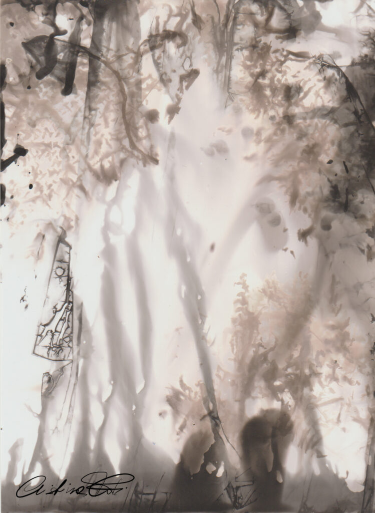 Nel Bosco: fotografia cameraless by Fotopoiesi di Cristina Foti