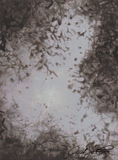 tra gli alberi - fotografia cameraless by Fotopoiesi di Cristina Foti