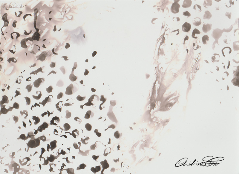 Il cerbiatto - fotografia cameraless by Fotopoiesi di Cristina Foti