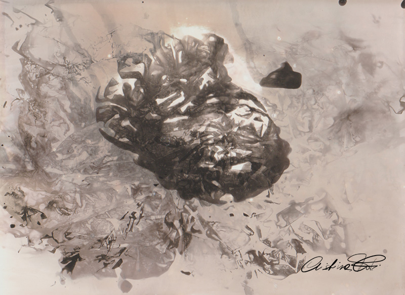 Intifada - fotografia cameraless by Fotopoiesi di Cristina Foti