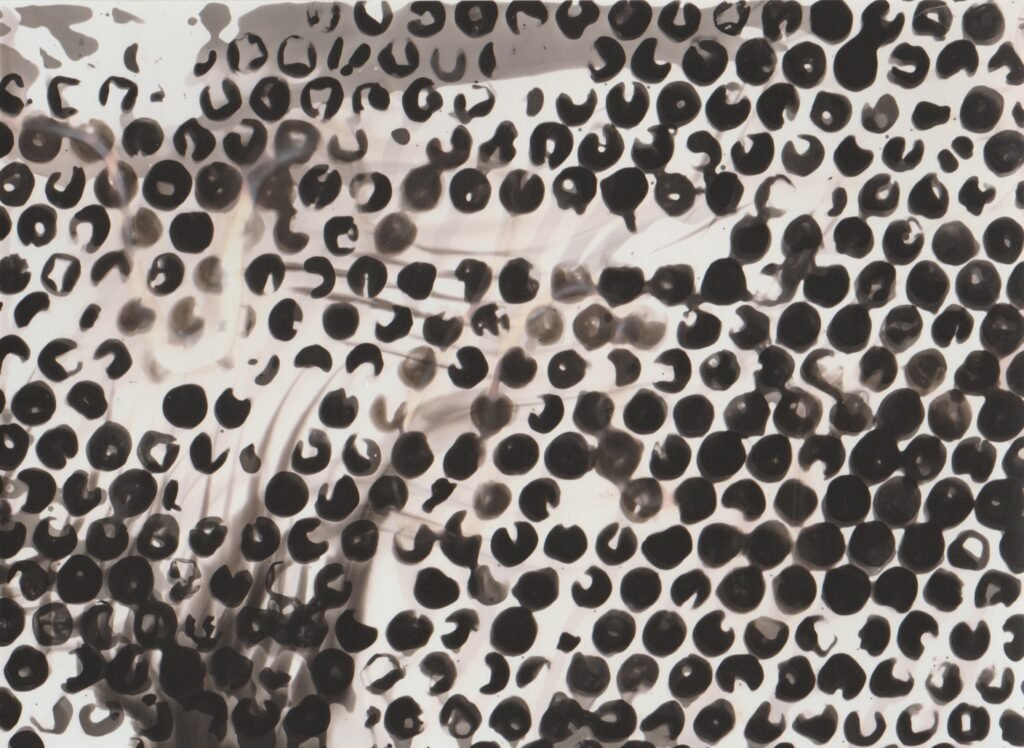 Pluriball - chimigramma