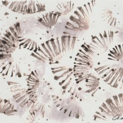 Fotografia cameraless, con soggetto astratto, che ricorda ventagli giapponesi.