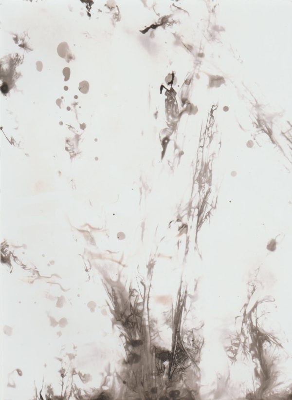 splash